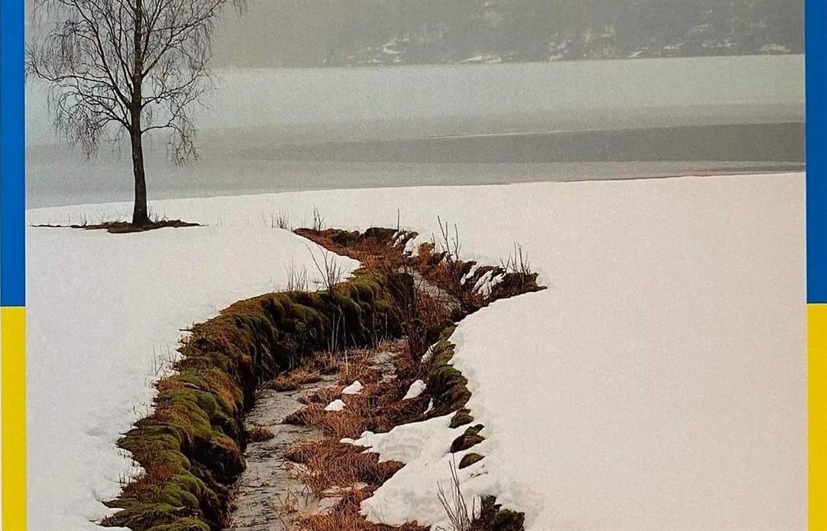 Foto av eit landskap med snø, eit tre utan blad og ein bekk i framgrunnen. - Klikk for stort bilete