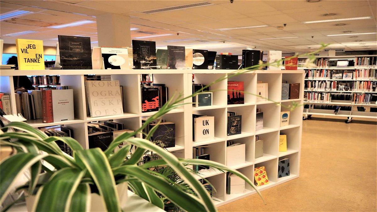 grønn plante i front og bøker i bokhyller - Klikk for stort bilete